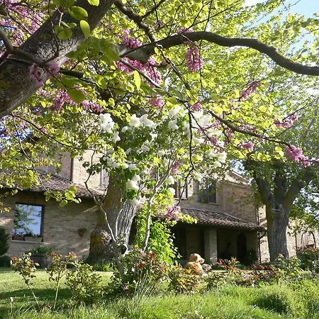 La Natura Urbino