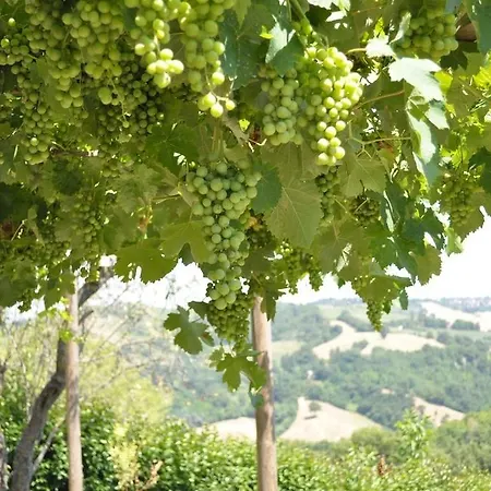 La Natura
